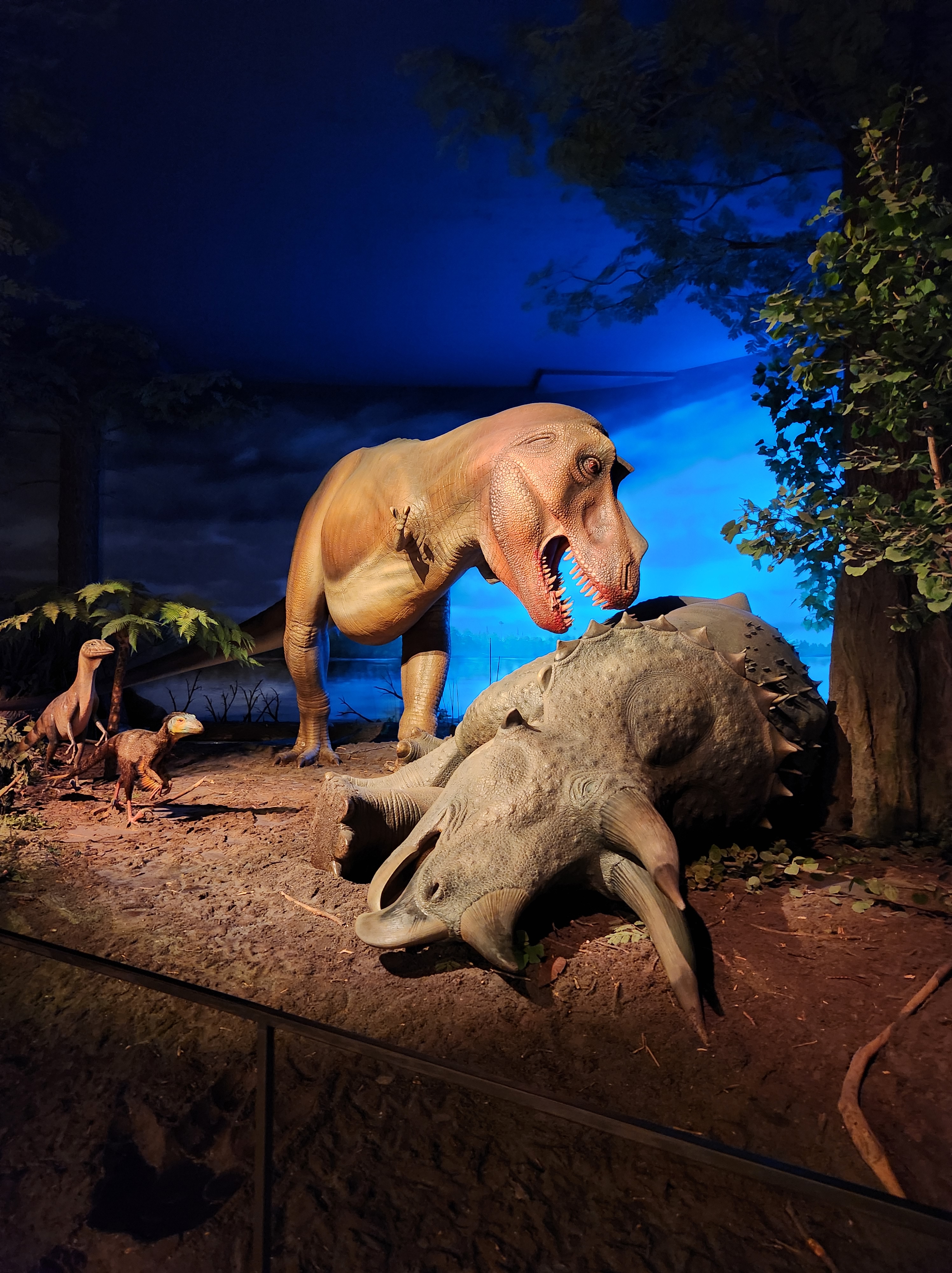 Visiting the Milwaukee Public Museum